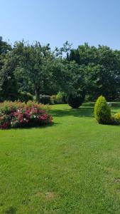 Maisons de vacances Le Chene Rouge : photos des chambres