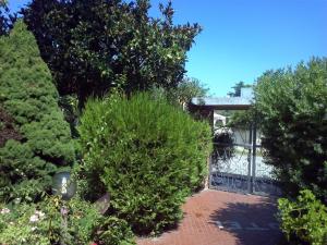 Hotel Abbaruja img62