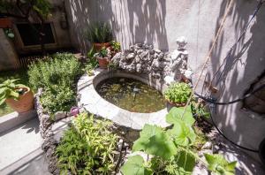 Apartmani Marko