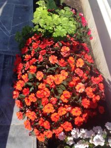 Villa Tanger Cap Spartel Vue sur mer