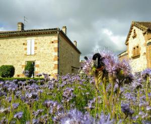 Sejours chez l'habitant La Dilettante : photos des chambres