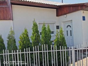 Apartment Phoenix No.12