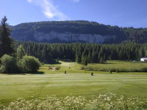 Appartements Les Chamois : photos des chambres