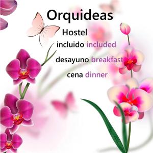 Hostal Orquideas