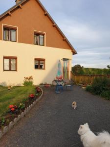 B&B / Chambres d'hotes Horizon Aubrac Laguiole : photos des chambres