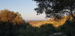 To Spiti Tou Papa Sto Vouno - 卡米拉日