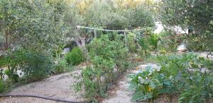 To Spiti Tou Papa Sto Vouno