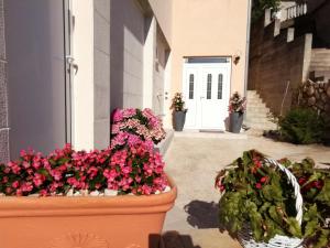 Appartementhaus Elena