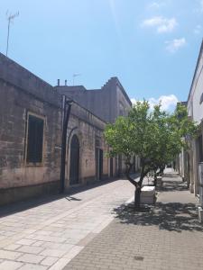 Residencefusaro appartamenti Specchia