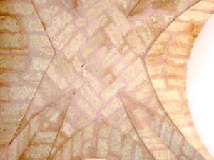 Casa Terrazzata in centro