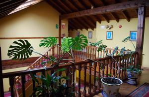 Posada Cabárceno