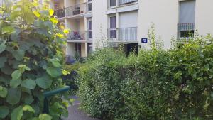 Appartements STUDIO en face de la foret de FONTAINEBLEAU : photos des chambres