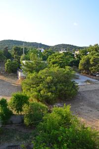 GOLDEN STAR Aegina Greece