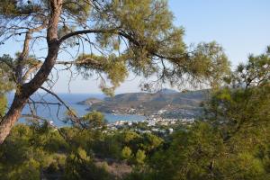 GOLDEN STAR Aegina Greece