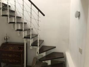 Villa Miccoli apartments