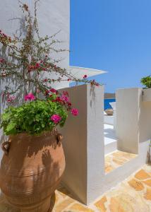 Halki Sea House Halki-Island Greece