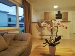 Moscow Areal Suite - Oosscheuern