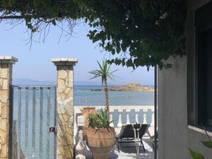 Villa Rena In Front of the Sea Ilia Greece