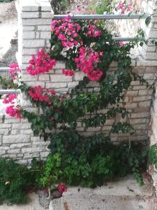 Eduard Lagji Apartament