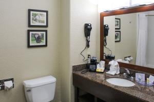 King Room - Non-Smoking room in Comfort Inn & Suites Near Six Flags & Medical Center