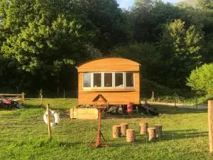Shepherds Huts Ham Hill, 2 double beds, Bathroom, Lounge, Diner, Kitchen, LOVE dogs & Cats Looking out to lake and by Ham Hill Country Park plus parking for large vehicles available also great deals on workers long term This is the place to relax and BBQ - Tintinhull