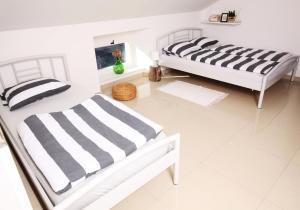 Eagle’s Nest Hostel