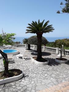 Appartamento in Villa Venezuela piano Terra