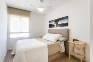 Atico en playa muchavista san juan Estrella