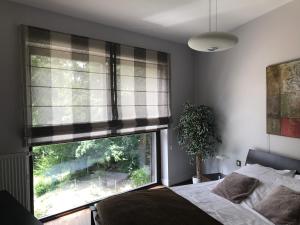 Apartament W&J