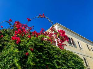 Ulysses Hotel Messinia Greece