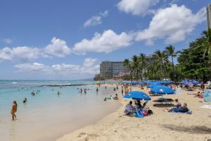 One Bedroom Apartment room in Hawaiian King #411