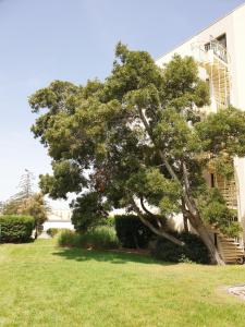 Studio moderne avec parking et piscine- 313