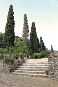 Apatouria Farmhouse Andros Greece