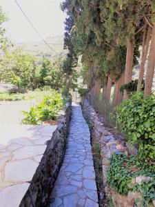 Apatouria Farmhouse Andros Greece