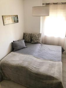 Modern and Cozy Apartment