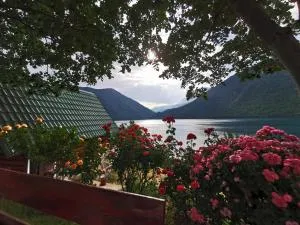 B&B Konak - Plužine