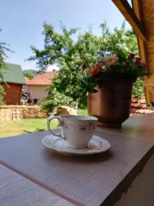 Apartments Šćepanović