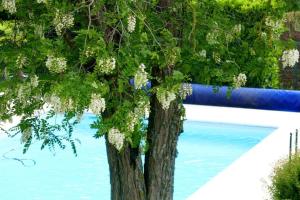 LA FERME DAIGUROLLES