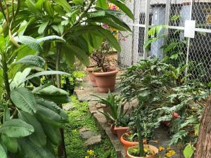 Tranquil Serviced Apartments