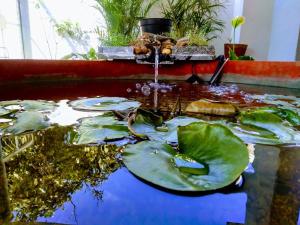 Tranquil Serviced Apartments