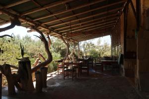 Grillo Tres Puntas Eco-Hostel