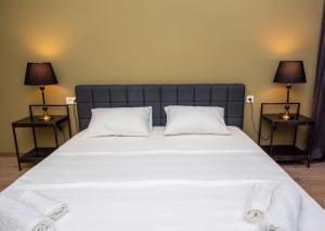 Central Luxury new apartment in Tbilisi