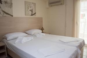 Villa Majken Pieria Greece