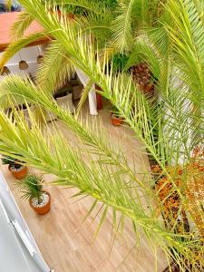 Villa Panoramic del Atlantico