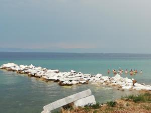 Marti Hotel