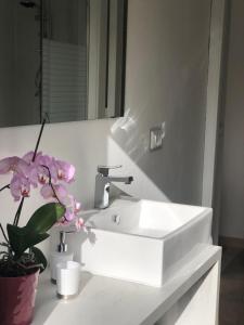 B&B Fashion style img17