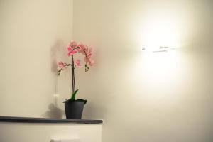 Glam House Apartment