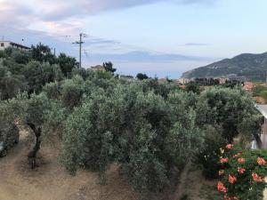 Pansion Episkopi Studios Skopelos Greece