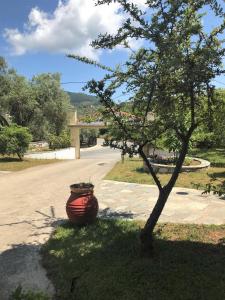 Pansion Episkopi Studios Skopelos Greece