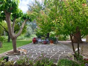 Pansion Episkopi Studios Skopelos Greece